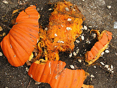 Owww! Someone threw a pumpkin!